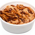 Animal Specialties Reptile & Amphibian Food 8 oz - Nutrient Rich Meal-0