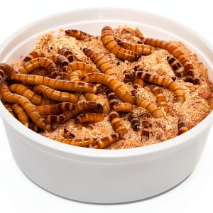 Animal Specialties Reptile & Amphibian Food 8 oz - Nutrient Rich Meal-0