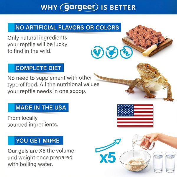 Bearded Dragon Food 3oz Gel Diet by Gesy Designs Premium USA Formula-3