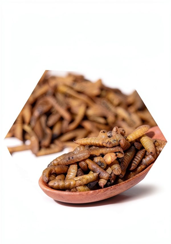 Black Soldier Fly Larvae 11 lb Dried – Amzey High‑Calcium Pet Treats-3