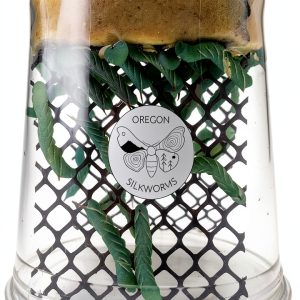 Hornworm Habitat by Oregon Silkworms – Premium 26-35+ Count per Cup-0