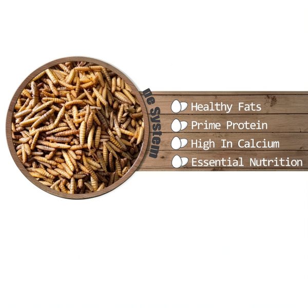 Black Soldier Fly Larvae 11 lb Dried – Amzey High‑Calcium Pet Treats-1